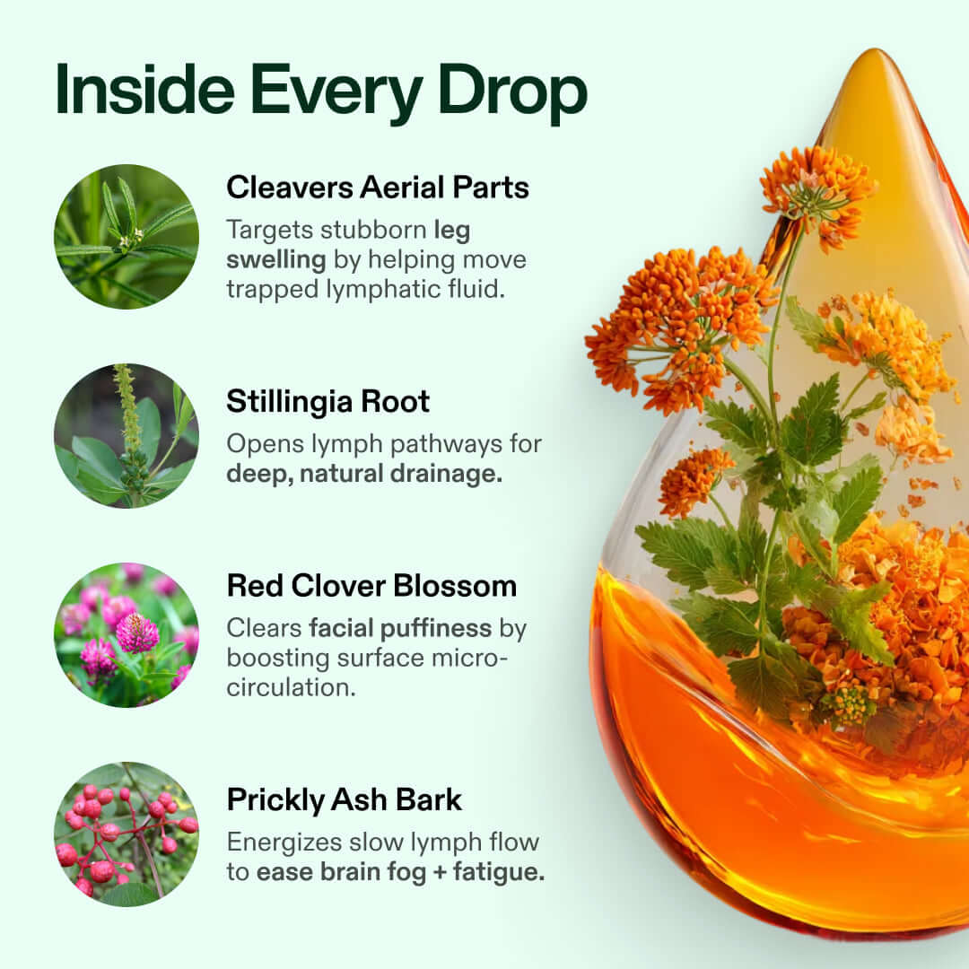 Lymphatic Drainage Supplement | Herbal Blend