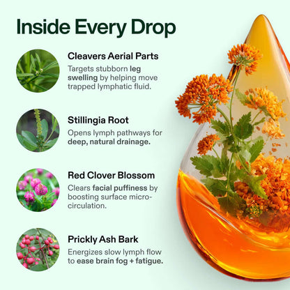 Lymphatic Drainage Supplement | Herbal Blend